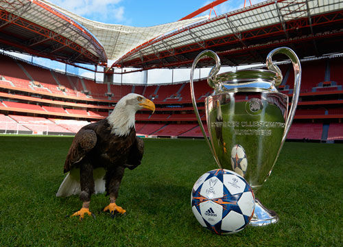 中超三连冠伴随亚冠全年不胜，海港距离“王朝”还差很远