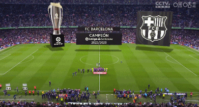 张伯伦：阿森纳具备成功的一切因素，我不算老还想继续踢球